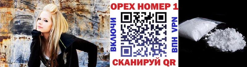 кракен зеркало  Эртиль  Кокаин Эквадор 