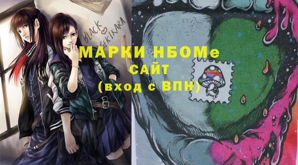 прущий лед Вяземский