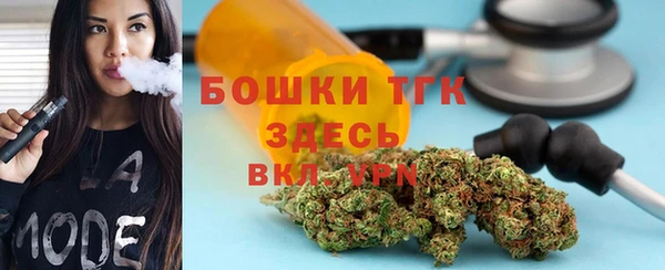 прущий лед Вяземский