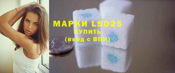 прущий лед Вяземский