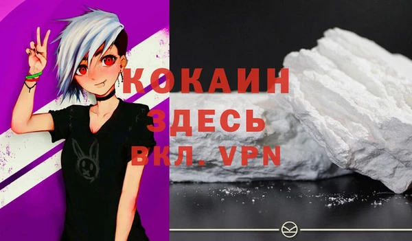 прущий лед Вяземский