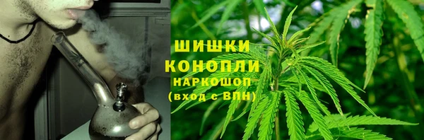 прущий лед Вяземский